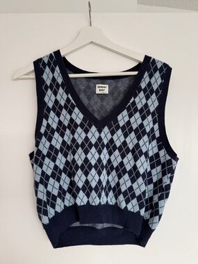 Aritzia Sunday Best sweater vest